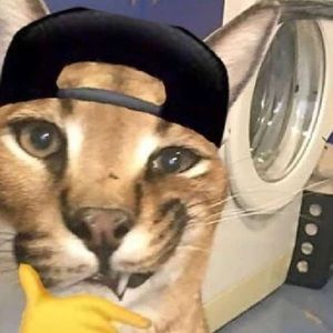 Meet your Posher, Myles